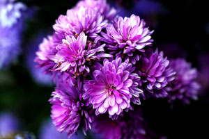 极速启动流畅的打电话打爆免费